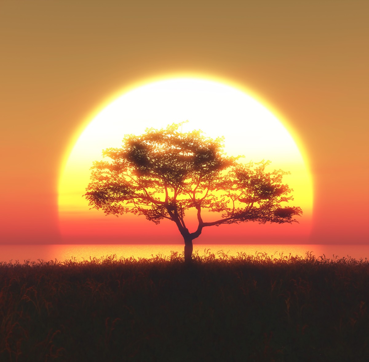 CHT Course Updates — Fall 2023 Admissions Open