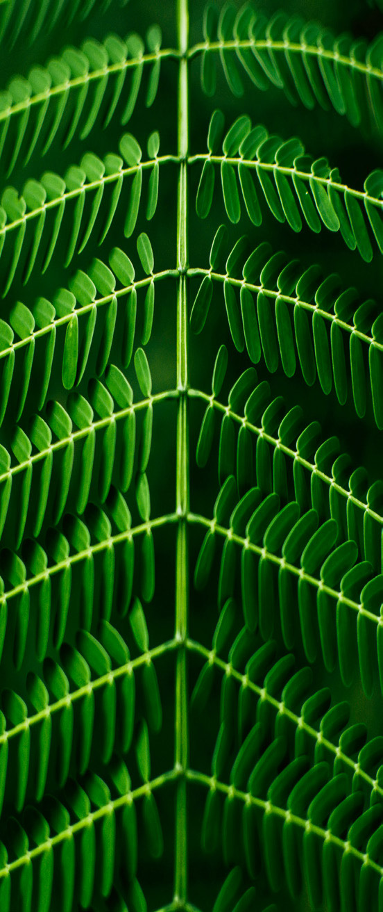 Spiritual Care Without Limits: The Launch of HSCI's TrayaCare Global Telechaplaincy Services